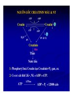 Bài giảng sinh hóa - Máu và dịch não part 6 docx