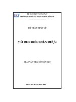 Mô đun biểu diễn được