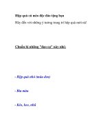 Hộp quà cú mèo độc đáo tặng bạn pps