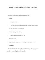 SƠ BỘ VỀ ĐIỆN TÂM ĐỒ BÌNH THƯỜNG docx