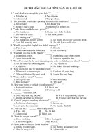 ĐỀ THI MẪU HSG CẤP TỈNH NĂM 2011 – ĐỀ 002 potx