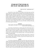 SỬ DỤNG NẸP TỔ HỢP CÁC BON - ĐIỀU TRỊ GÃY THÂN XƯƠNG CÁNH TAY pdf