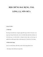 HỘI CHỨNG ĐAU BỤNG, TÁO, LỎNG, LỴ, NÔN MỬA doc