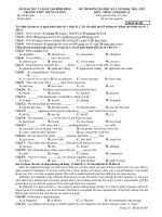 ĐỀ THI KIỂM TRA HỌC KỲ I NĂM HỌC 2010 - 2011 MÔN : TIẾNG ANH KHỐI 12 docx