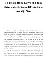 Tự do hóa trong EU và khả năng thâm nhập thị trờng EU của hàng hoá Việt Nam_3 doc
