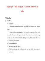 Giáo án Tiếng Việt lớp 3 : Tên bài dạy : Tập đọc – Kể chuyện Các em nhỏ và cụ già. pdf