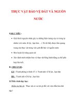 Giáo án Sinh học lớp 6 : Tên bài dạy : THỰC VẬT BẢO VỆ ĐẤT VÀ NGUỒN NƯỚC pptx