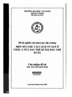 Một số cuộc cải cách tư sản ở châu á nữa sau thế kỷ XIX đầu thế kỷ XX
