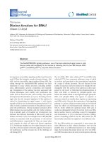 Báo cáo sinh học: 