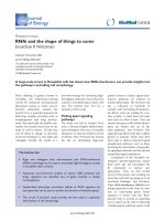 Báo cáo sinh học: 