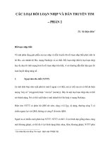 CÁC LOẠI RỐI LOẠN NHỊP VÀ DẪN TRUYỀN TIM – PHẦN 2 pdf