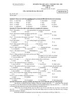 ĐỀ KIỂM TRA GIỮA KỲ I NĂM HỌC 2010 - 2011 MÔN: TIẾNG ANH - Mã đề thi 316 ppsx