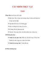 Giáo án Sinh học lớp 6 : Tên bài dạy : CÁC NHÓM THỰC VẬT TẢO pdf