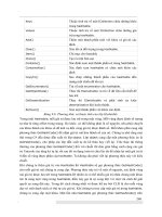 Giáo trình phân tích khả năng vận dụng cấu tạo bo mạch mảng một chiều trong dấu ngoặc p10 ppt