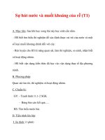 Giáo án Sinh học lớp 6 : Tên bài dạy : Sự hút nước và muối khoáng của rễ (T1) potx