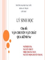 CHỦ ĐỀ : VẬN CHUYỂN VẬT CHẤT QUA KÊNH Na+ pptx