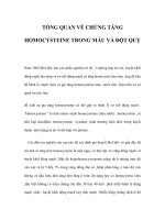 TỔNG QUAN VỀ CHỨNG TĂNG HOMOCYSTEINE TRONG MÁU VÀ ĐỘT QUỴ pptx