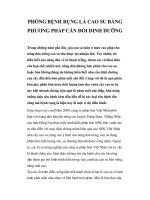 PHÒNG BỆNH RỤNG LÁ CAO SU BẰNG PHƯƠNG PHÁP CÂN ĐỐI DINH DƯỠNG pot