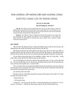 Báo cáo khoa học: 