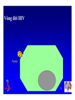 Bài giảng điều trị HIV : SINH BỆNH HỌC VÀ DIỄN BIẾN TỰ NHIÊN CỦA NHIỄM HIV part 3 pot