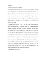 Bộ tài chính và thực trạng quản lý rò rỉ xăng qua biên giới gây nên hiện tượng tăng giá trong nước ppt