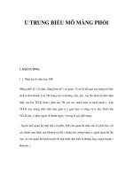 U TRUNG BIỂU MÔ MÀNG PHỔI ppsx