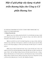 Một số giải pháp xây dựng và phát triển thương hiệu cho Công ty Cổ phần Hương Sen _2 pptx