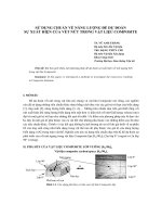 Báo cáo khoa học: 