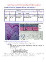 CHUẨN ĐOÁN ĐỘ SÂU TỔN THƯƠNG BỎNG docx