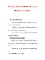 Giáo án Giáo dục công dân lớp 6 : Tên bài dạy : NGOẠI KHOÁ TÌM HIỂU LUẬT AN TOÀN GIAO THÔNG pptx