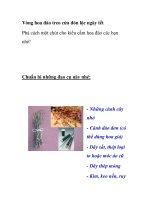 Vòng hoa đào treo cửa đón lộc ngày tết ppsx