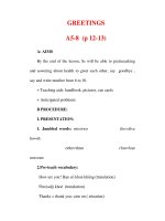 Giáo án Anh văn lớp 6 : Tên bài dạy : GREETINGS A5-8 (p 12-13) pot