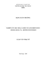 nghiên cứu đực hóa cá hồi vân (oncorhynchus mykiss) bằng 17α methyltestosteron tại việt nam