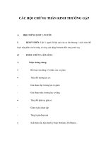 CÁC HỘI CHỨNG THẦN KINH THƯỜNG GẶP pdf