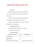 Giáo án Công nghệ lớp 6 : Tên bài dạy : trang trí nhà ở bằng cây cảnh và hoa ppt