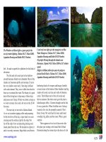 Underwater Photographya web magazine phần 6 pdf