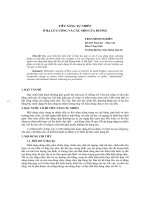 Báo cáo khoa học: 