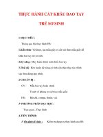 Giáo án Công nghệ lớp 6 : Tên bài dạy : THỰC HÀNH CẮT KHÂU BAO TAY TRẺ SƠ SINH pdf