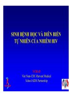 Bài giảng điều trị HIV : SINH BỆNH HỌC VÀ DIỄN BIẾN TỰ NHIÊN CỦA NHIỄM HIV part 1 pdf