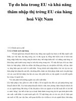 Tự do hóa trong EU và khả năng thâm nhập thị trờng EU của hàng hoá Việt Nam _2 pot