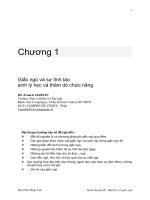 Tài liệu Sách chuyên đề về rối loạn giấc ngủ