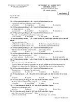 ĐỀ THI THỬ TỐT NGHIỆP THPT MÔN THI : ANH 12 - Mã đề thi 121 docx