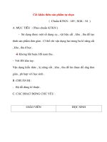 Giáo án môn Kỹ Thuật: Cắt khâu thêu sản phẩm tự chọn (tiết 1) pps