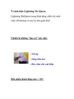 Ví xinh hiệu Lightning Mc Queen potx