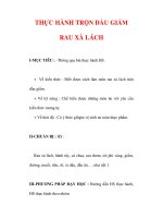 Giáo án Công nghệ lớp 6 : Tên bài dạy : THỰC HÀNH TRỘN DẦU GIẤM RAU XÀ LÁCH potx