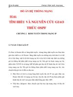 HỆ THỐNG MẠNG - TÌM HIỂU VÀ NGUYÊN CỨU GIAO THỨC OSPF CHƯƠNG 2 pps
