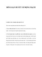 RỐI LOẠN HUYẾT ÁP ĐỘNG MẠCH ppsx