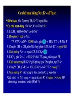 Bài giảng sinh hóa - Trao đổi muối và nước part 5 pptx