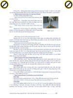 Giáo trình tổng hợp những cách để phát hiện thú nuôi bị bệnh phần 5 pdf