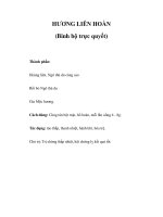 HƯƠNG LIÊN HOÀN (Binh bộ trực quyết) pdf